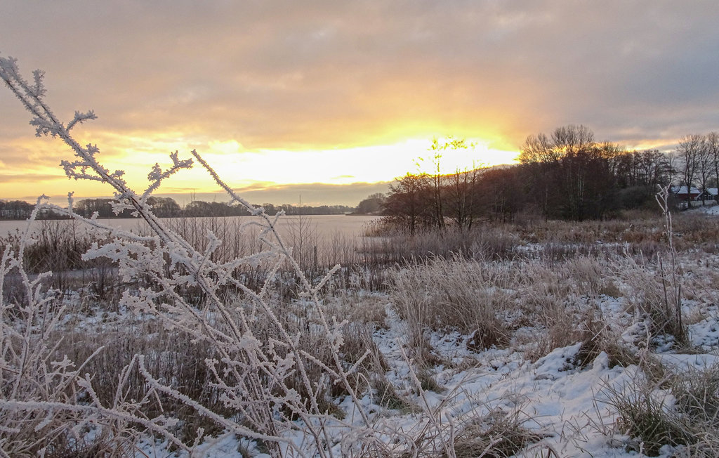 Ferienhaus - Feriendorf Wardersee , Deutschland - DSH005 21