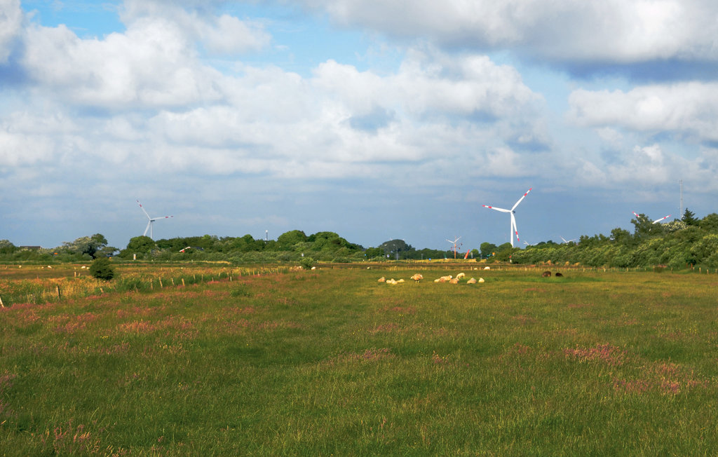 Feriehuse - Dagebüll , Tyskland - DSH893 25