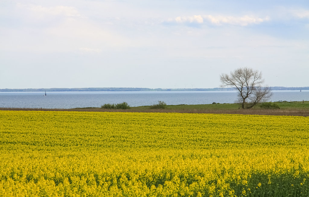 Semesterhus - Schönhagen Strand , Tyskland - DSH139 21
