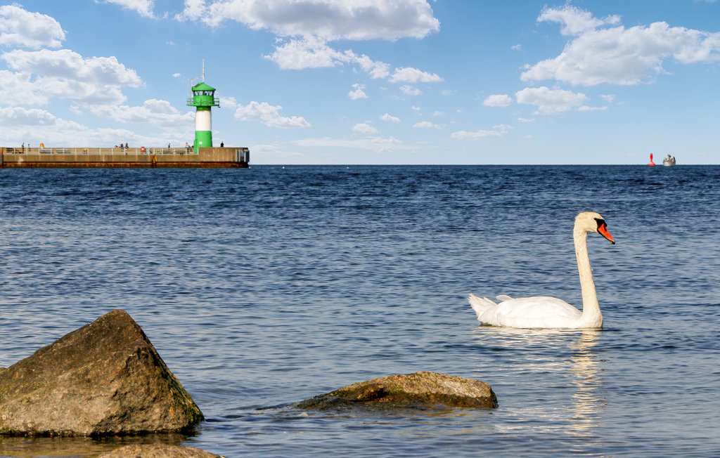 Ferienhaus - Travemünde-Priwall , Deutschland - DSH530 23