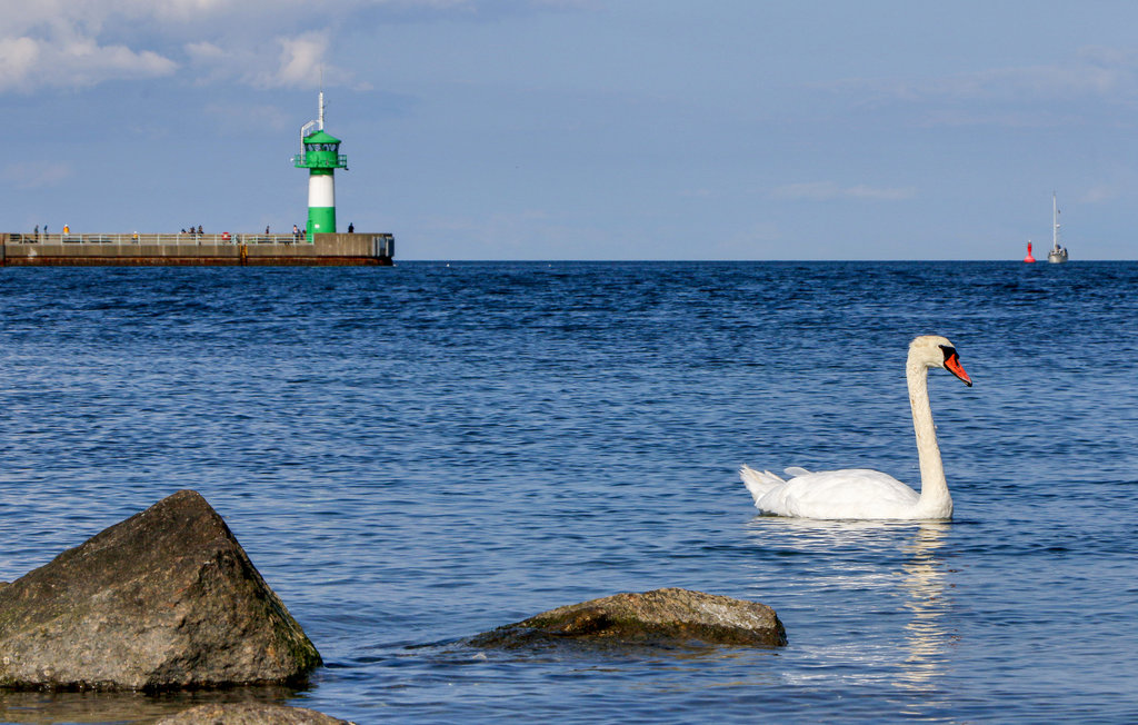 Ferieleilighet - Travemünde-Priwall , Tyskland - DSH539 17