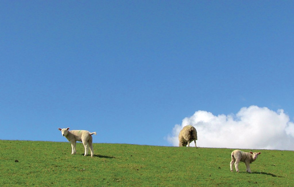 Feriehus - Dagebüll , Tyskland - DSH932 13