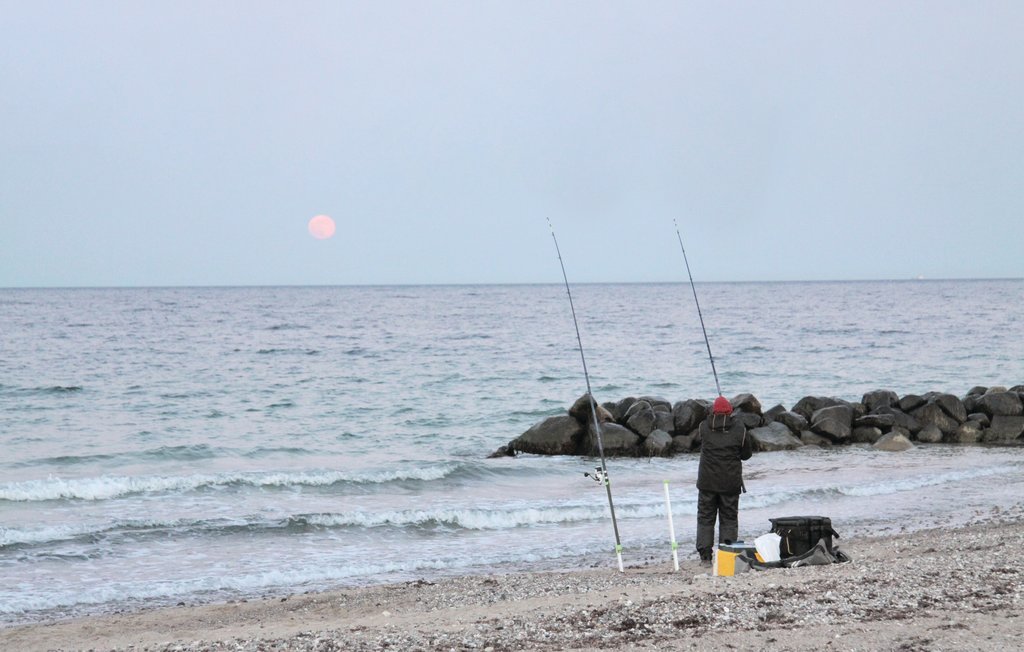 Semesterhus - Schönhagen Strand , Tyskland - DSH139 19