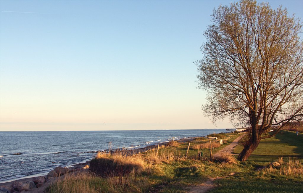 Ferienhaus - Süssauer Strand/Ostsee , Deutschland - DSH757 40