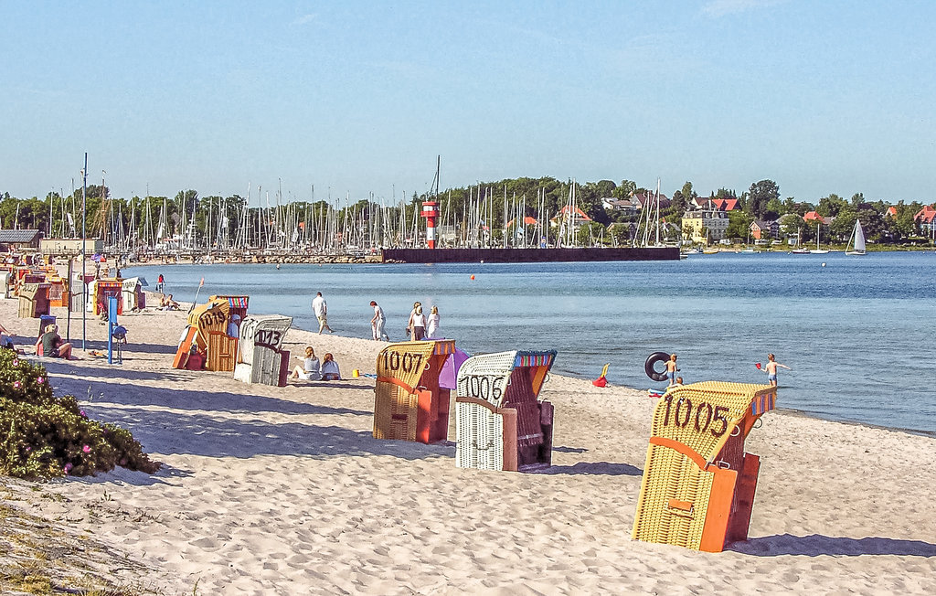 Ferienwohnung - Wittensee/Naturpark , Deutschland - DSH235 9