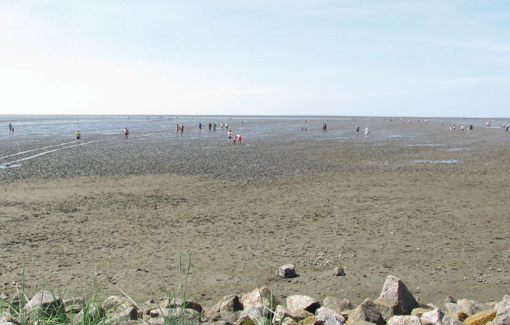 Feriehus - Friedrichskoog Spitze , Tyskland - DSH622 36