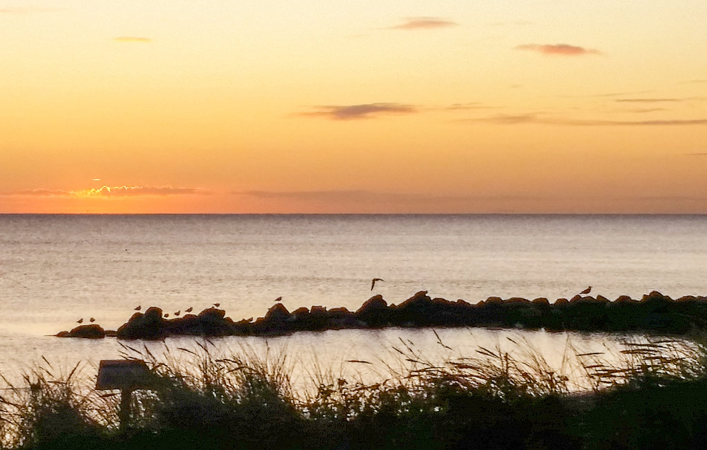 Ferienhaus - Schönhagen Strand , Deutschland - DSH143 18
