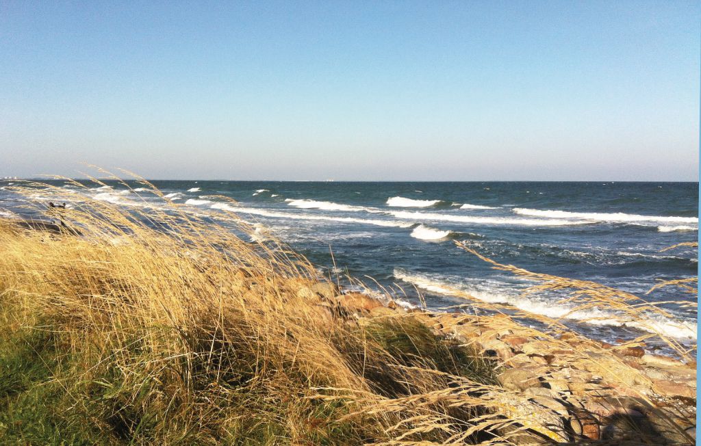 Feriehuse - Süssauer Strand/Ostsee , Tyskland - DSH792 20