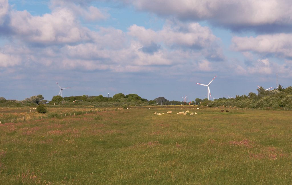 Feriehuse - Dagebüll , Tyskland - DSH944 19