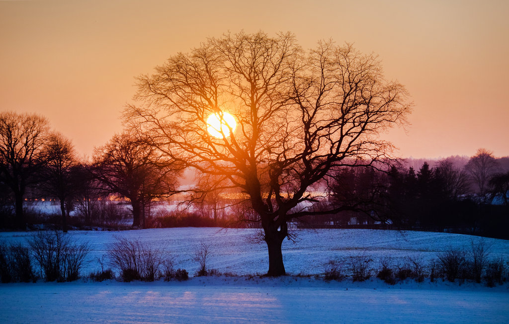 Feriehuse - Feriendorf Wardersee , Tyskland - DSH029 7