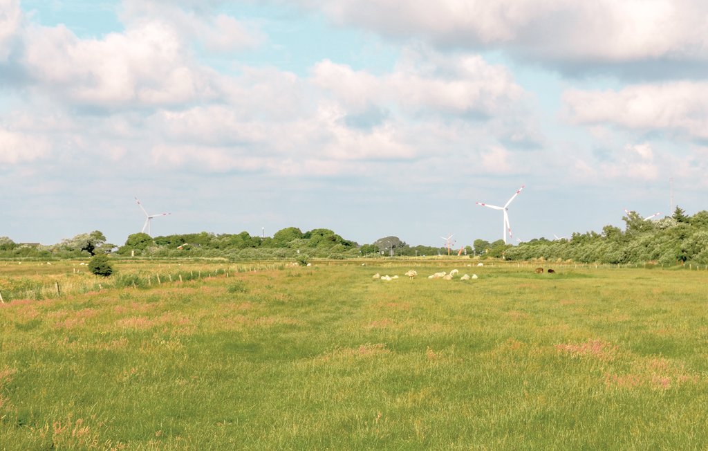 Ferienhaus - Dagebüll , Deutschland - DSH892 20