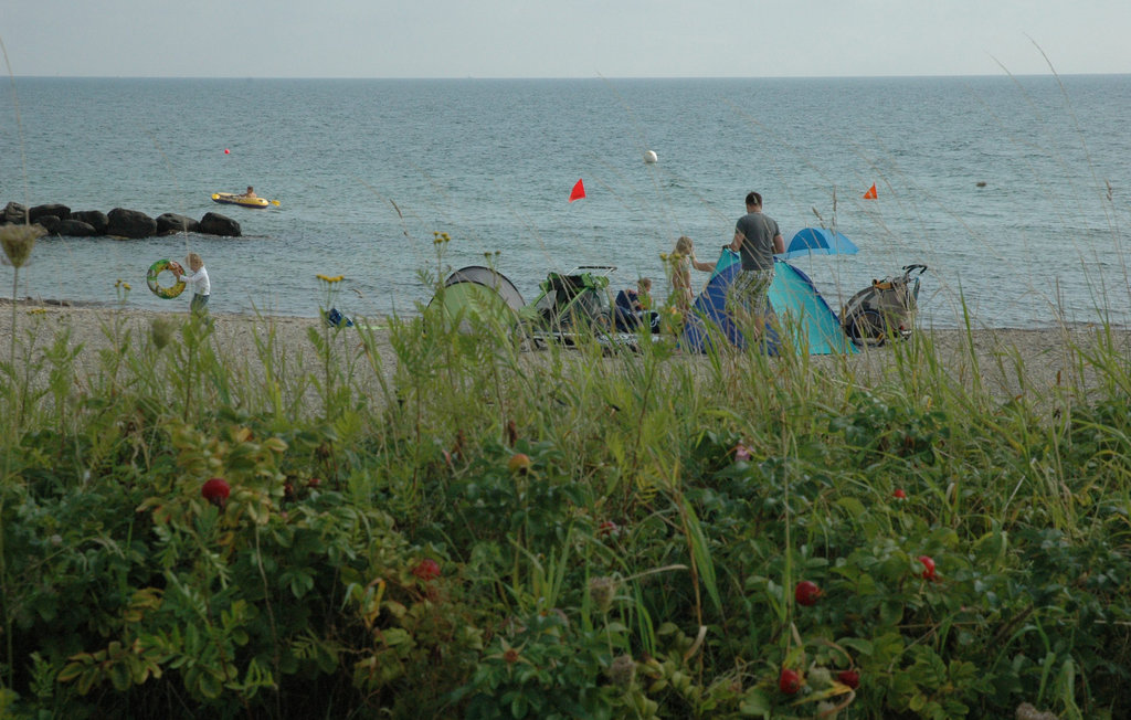 Feriehus - Schönhagen Strand , Tyskland - DSH109 34