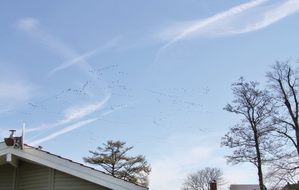 Semesterhus - Schönhagen Strand , Tyskland - DSH139 20