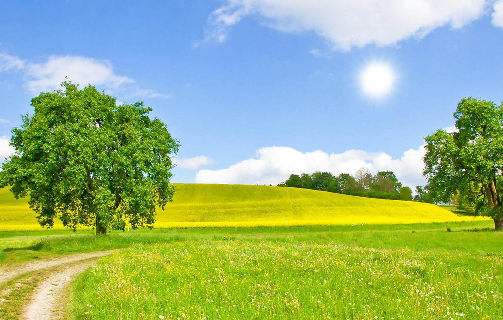 Ferienhaus - Feriendorf Wardersee , Deutschland - DSH005 23