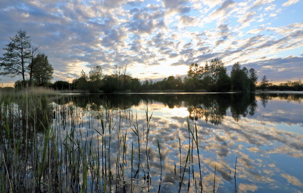 Ferienhaus - Süsel , Deutschland - DSH075 25