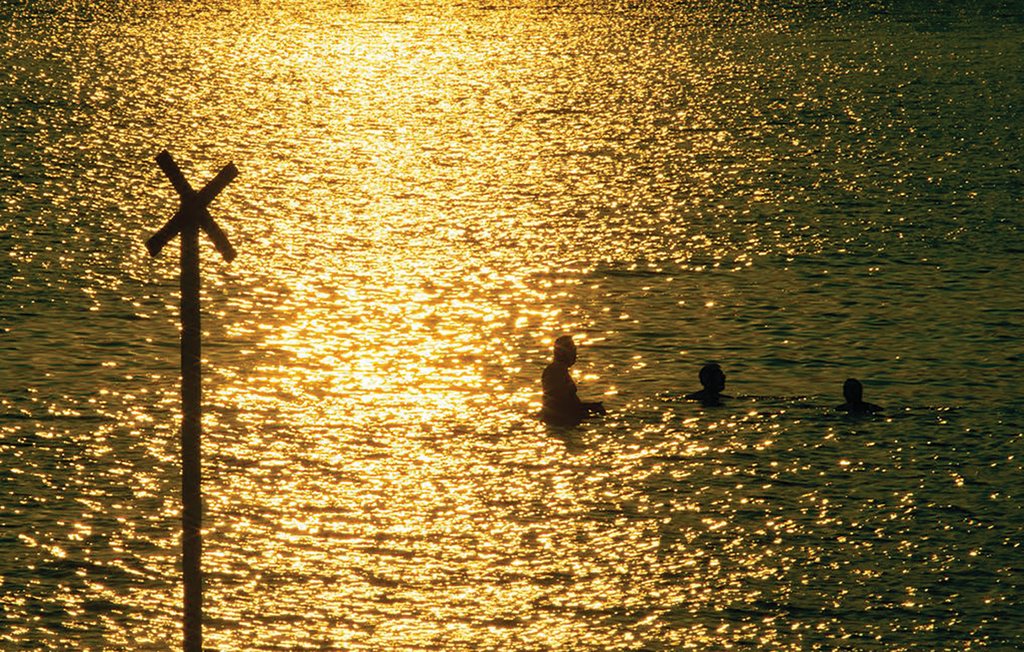 Semesterhus - Dagebüll , Tyskland - DSH933 23