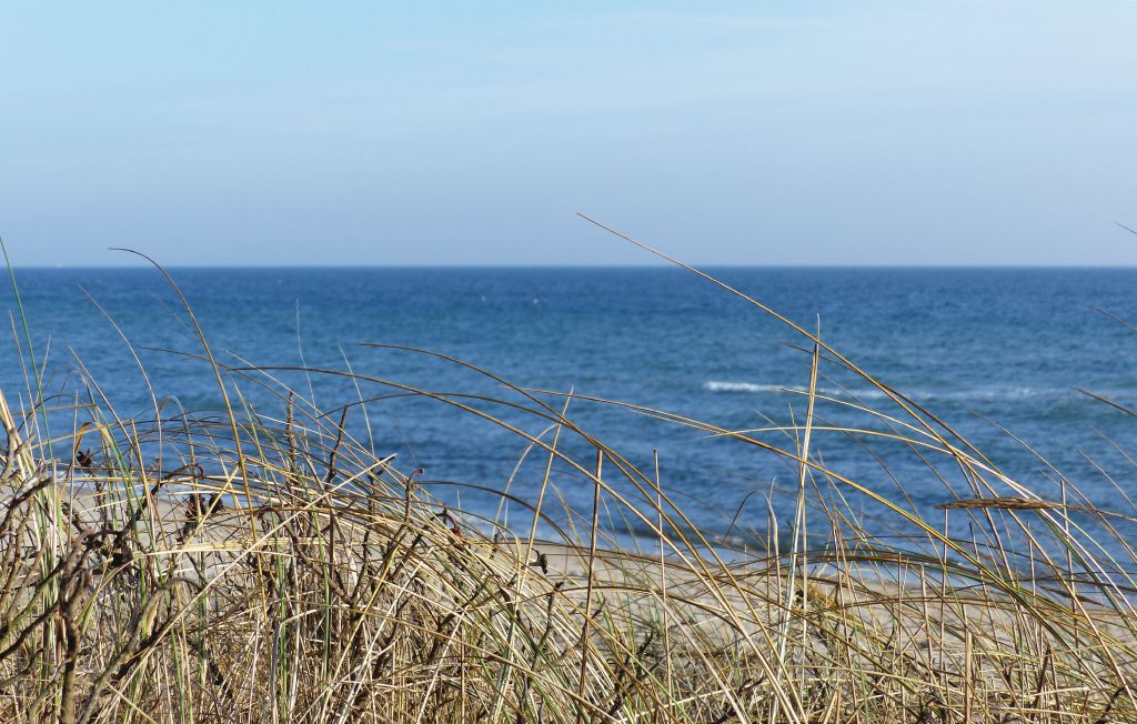 Ferienhaus - Schönhagen Strand , Deutschland - DSH143 20