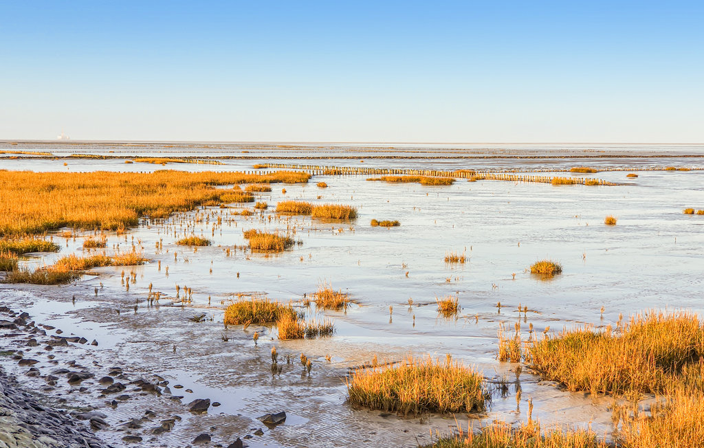 Feriehus - Friedrichskoog Spitze , Tyskland - DSH637 15