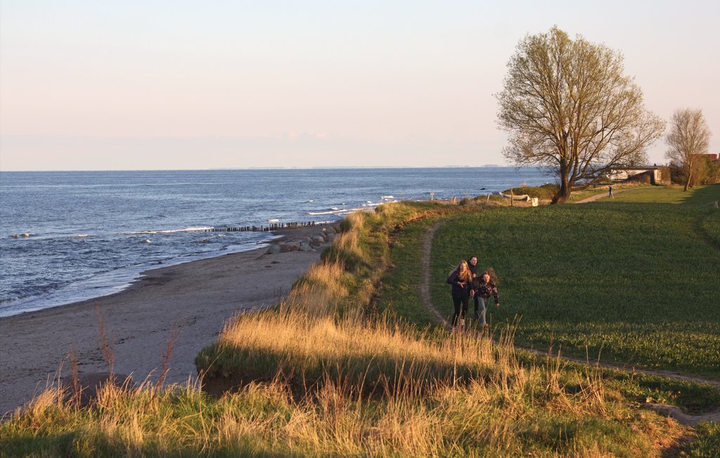 Ferienhaus - Süssauer Strand/Ostsee , Deutschland - DSH757 38