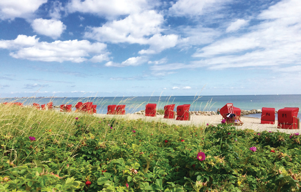 Feriehuse - Schönhagen Strand , Tyskland - DSH134 25