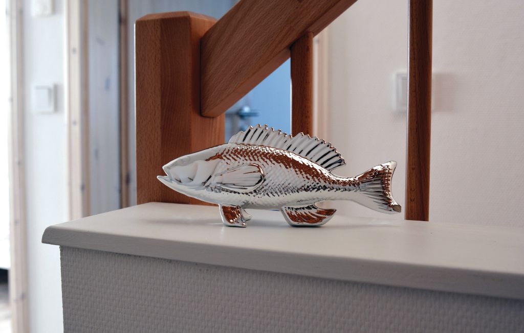 Feriehuse - OstseeResort Olpenitz , Tyskland - DSH464 24