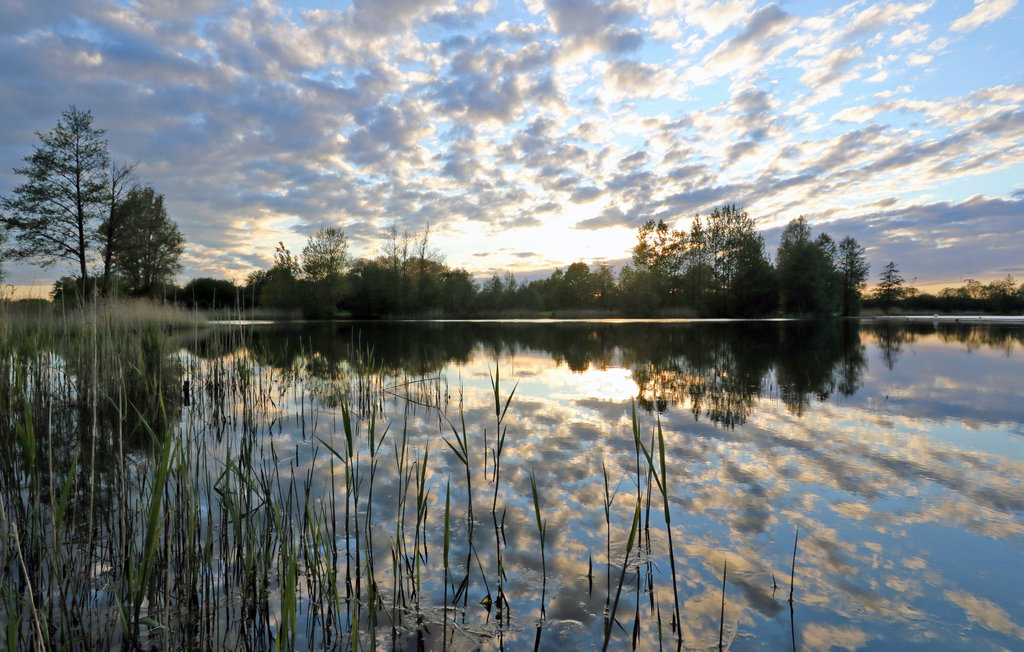 Semesterhus - Süsel , Tyskland - DSH081 16