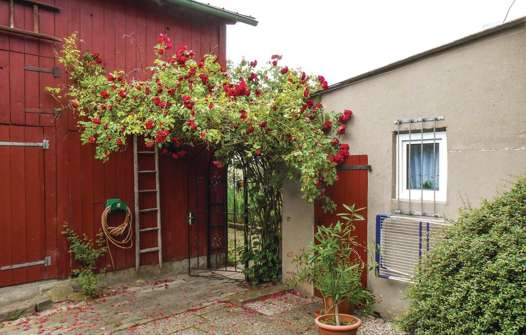 Ferienwohnung - Flüggendorf , Deutschland - DSH244 5