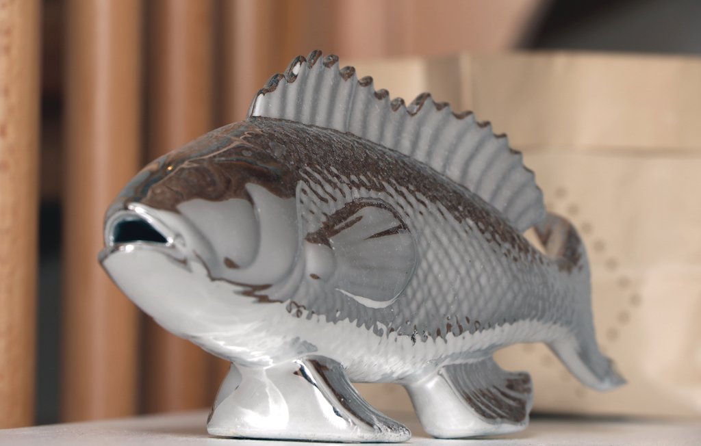 Feriehuse - OstseeResort Olpenitz , Tyskland - DSH464 23