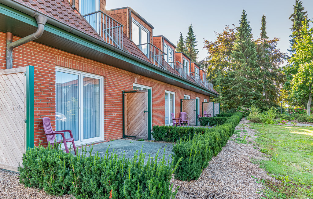 Ferienwohnung - Wittensee/Naturpark , Deutschland - DSH235 12