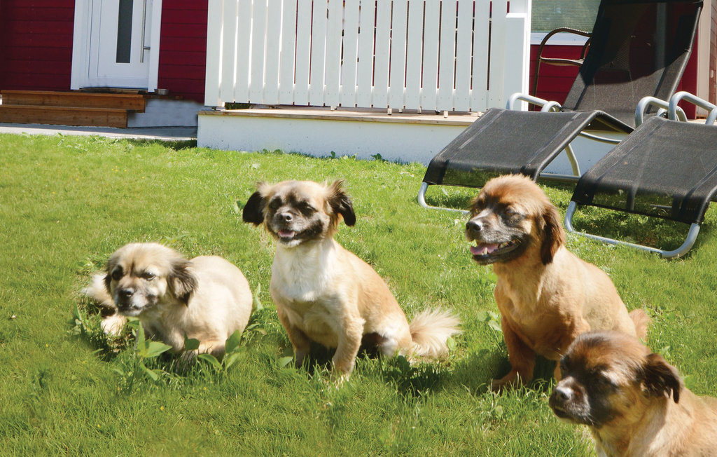 Feriehuse - Süssauer Strand/Ostsee , Tyskland - DSH792 10