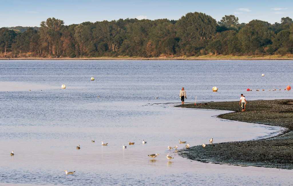 Ferienhaus - Travemünde-Priwall , Deutschland - DSH530 21