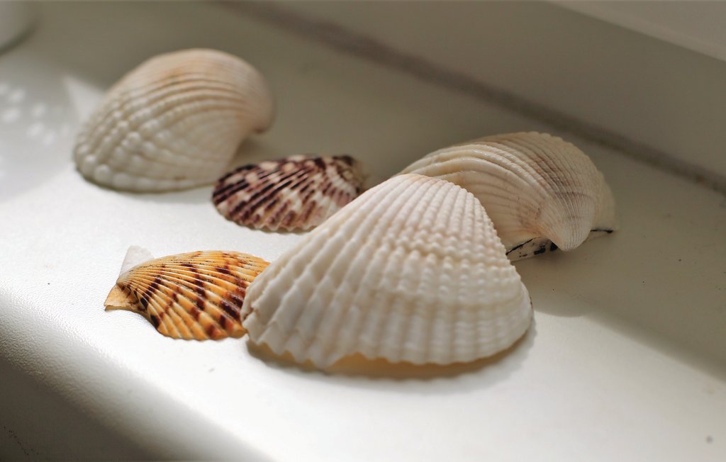 Ferienhaus - Süssauer Strand/Ostsee , Deutschland - DSH741 15