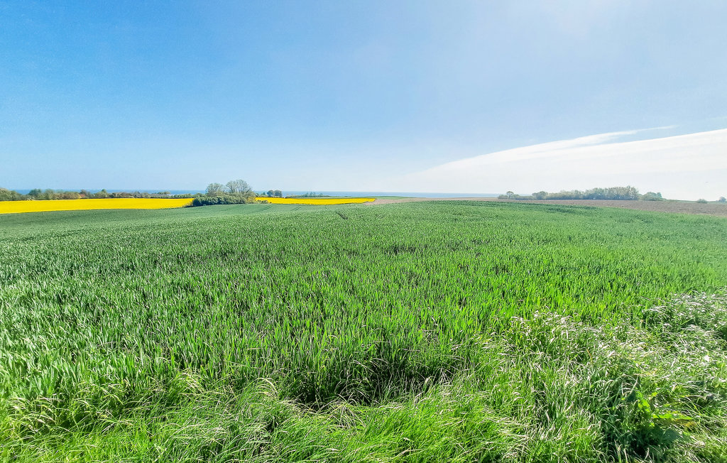 Feriehus - Schönhagen Strand , Tyskland - DSH122 22