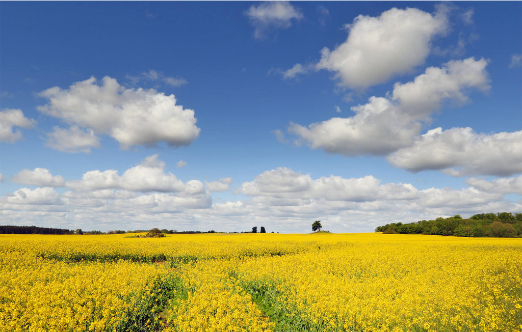 Ferienhaus - Süsel , Deutschland - DSH092 24