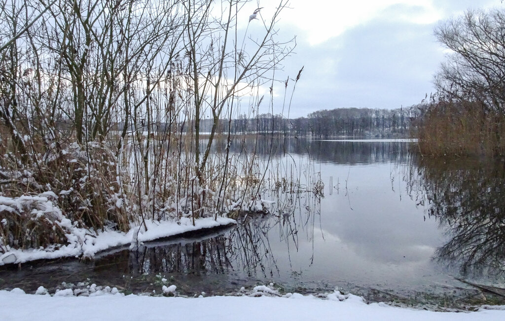 Ferienhaus - Feriendorf Wardersee , Deutschland - DSH005 24
