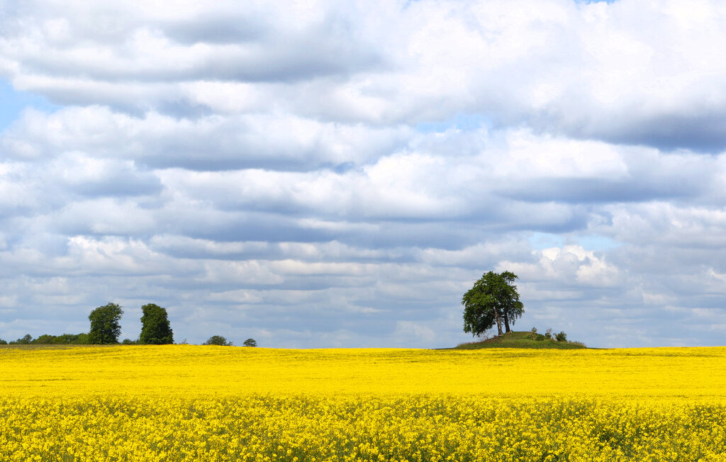 Ferienhaeuser - Süsel , Deutschland - DSH094 8