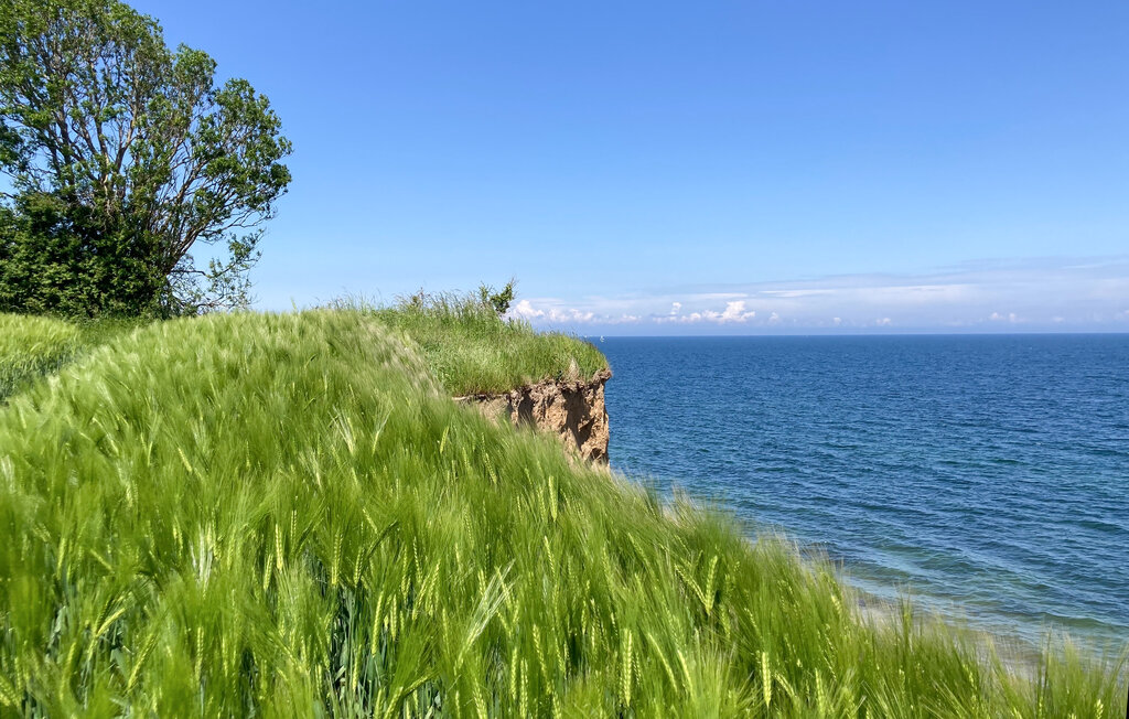 Feriehuse - Schönhagen Strand , Tyskland - DSH142 22