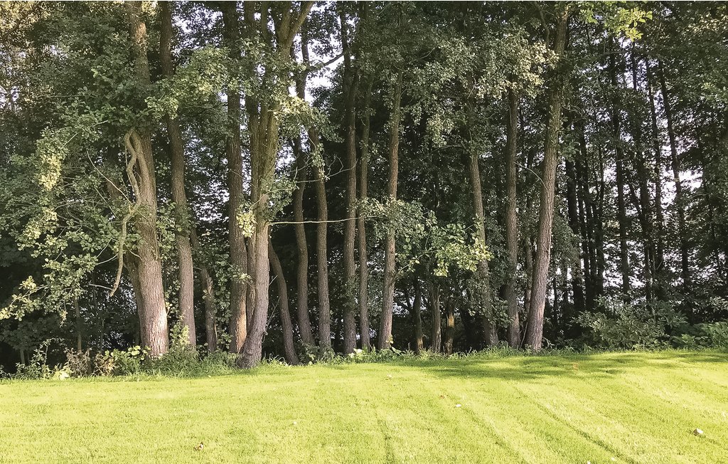 Im Naturpark der Holsteinischen Schweiz gelegen, bietet das Feriendorf Wardersee Urlaubsfreude für die ganze Familie. Zwischen Wäldern, Wiesen, Flüssen und Seen finden Sie hier viel Ruhe und Erholu..
