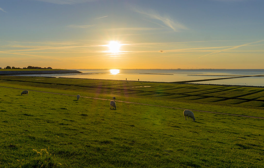 Semesterlägenhet - Nordstrand , Tyskland - DSL315 24