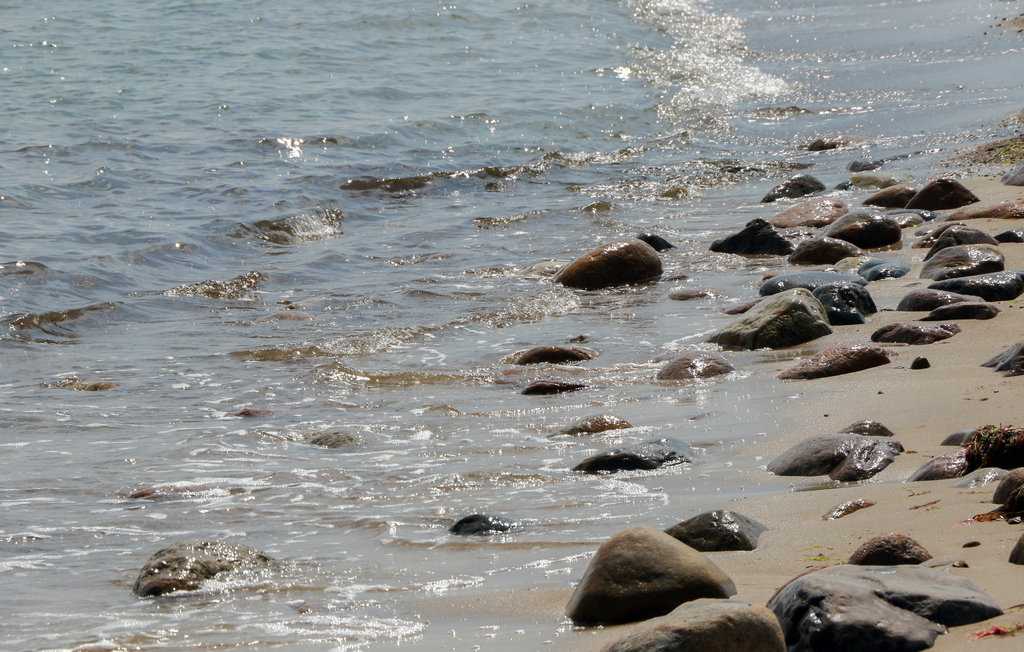Semesterhus - Süssauer Strand/Ostsee , Tyskland - DSL708 40