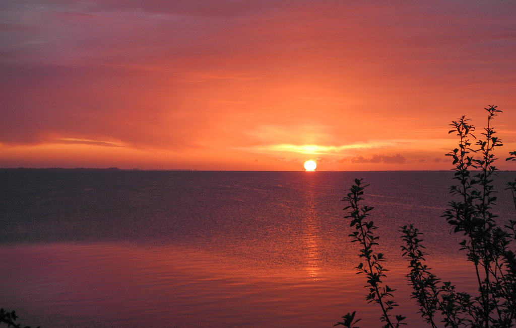 Lejlighed - Charlotte in Steinberghaff , Tyskland - DSL158 16