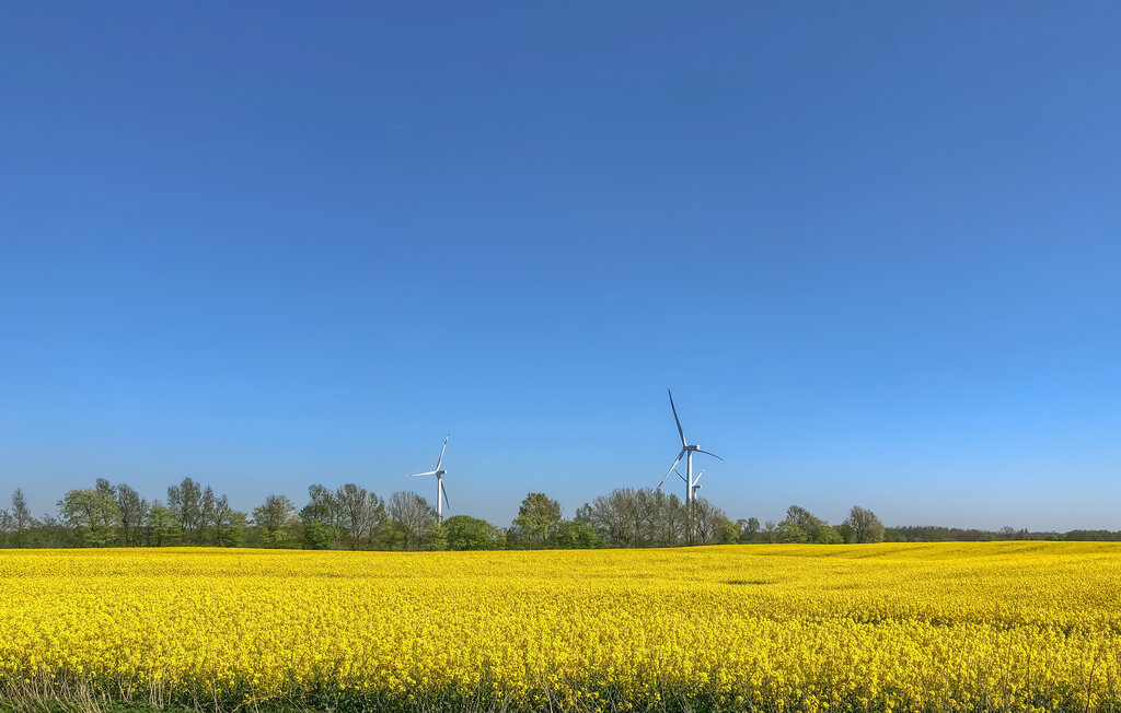 Location de vacances - Schleswig OT Tolk , Allemagne - DSL268 25