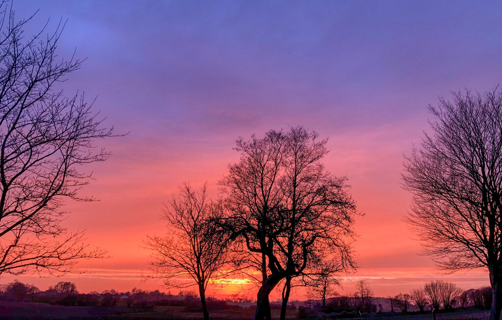 Location de vacances - Schleswig OT Tolk , Allemagne - DSL268 28