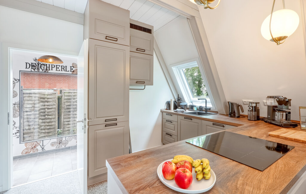 Ferienhaeuser - Friedrichskoog Spitze , Deutschland - DSL276 11