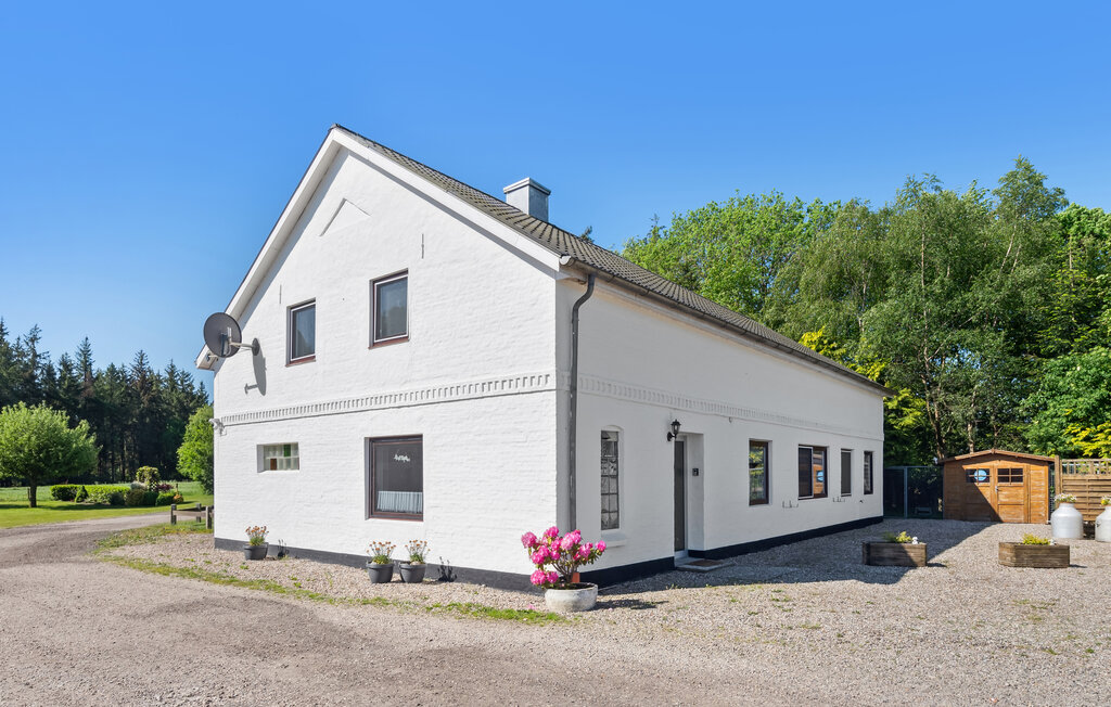Ferienhaus - Am Moor - Achtrup , Deutschland - DSL152 2