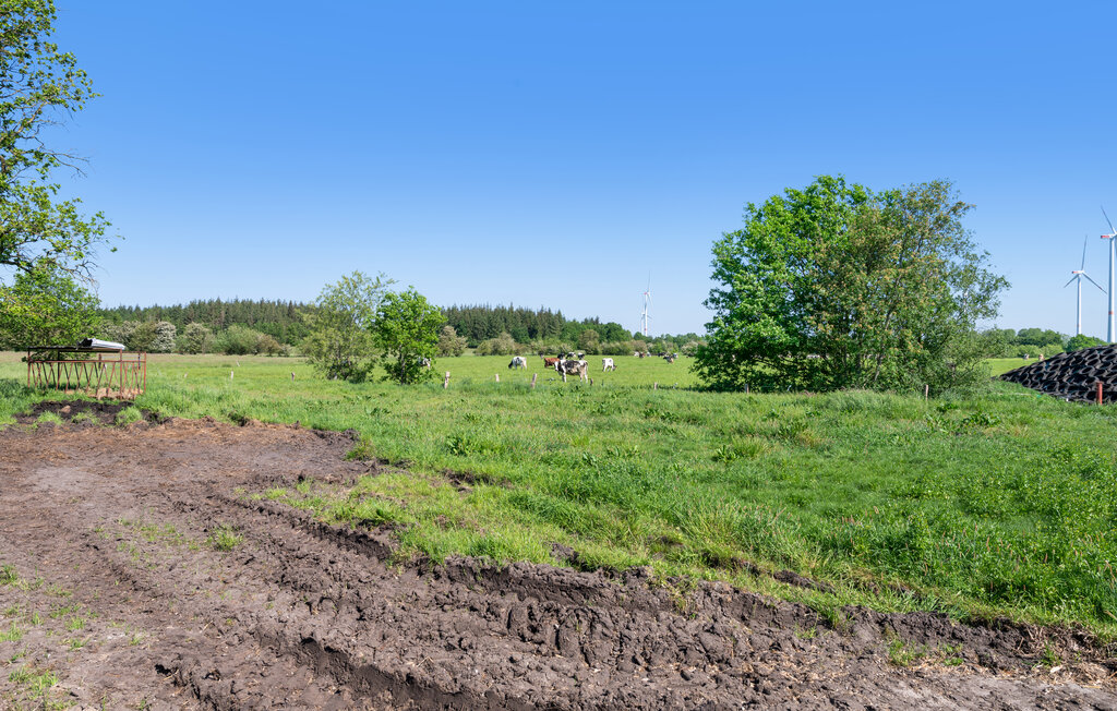 Ferienhaus - Am Moor - Achtrup , Deutschland - DSL152 14