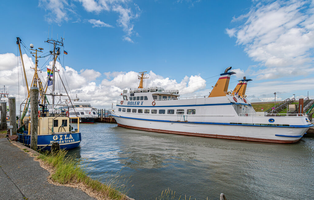 Ferienhaeuser - Nordstrand , Deutschland - DSL293 25