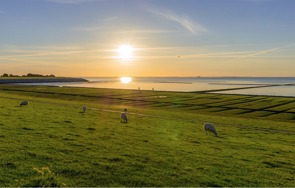 Ferienhaeuser - Nordstrand , Deutschland - DSL293 29