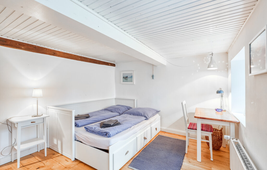 Ferienhaeuser - Niebüll , Deutschland - DSL275 13