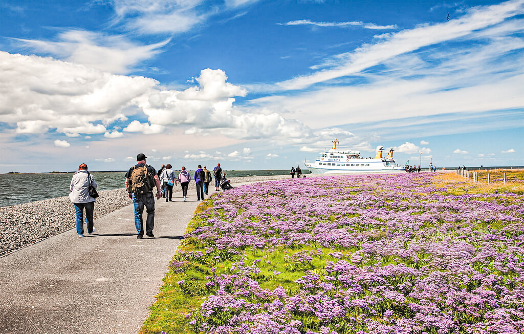 Ferieleilighet - Penthouse, Nordstrand - Watt , Tyskland - DSL318 34